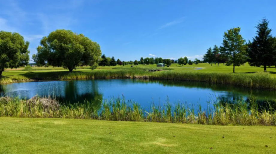 New Homes in Shamrock Glen Deer Park, Washington